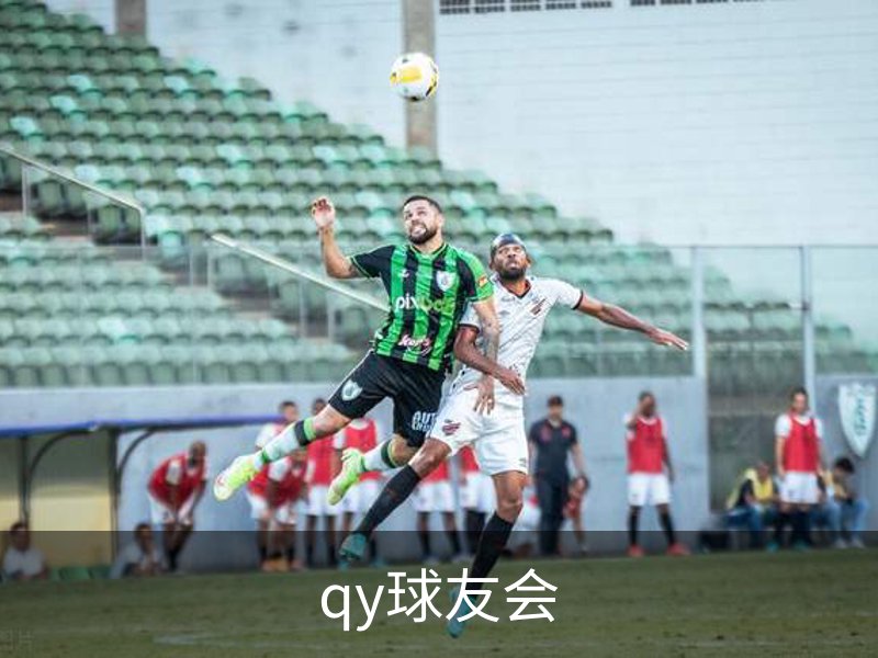 qy球友会品牌故事
